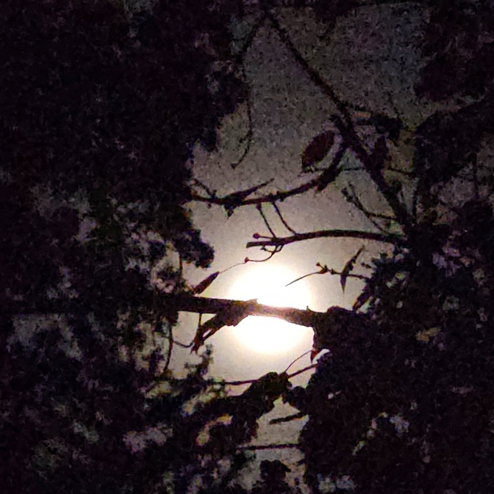 Meet your Posher, Russ